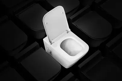 تصویری از انواع کاسه های والهنگ فلاش تانک ایران