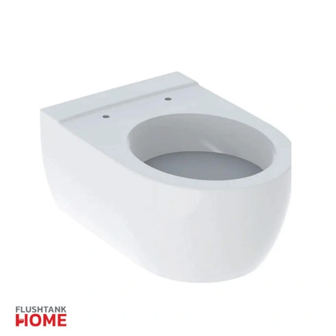 توالت فرنگی آیکون گبریت مدل والهنگ